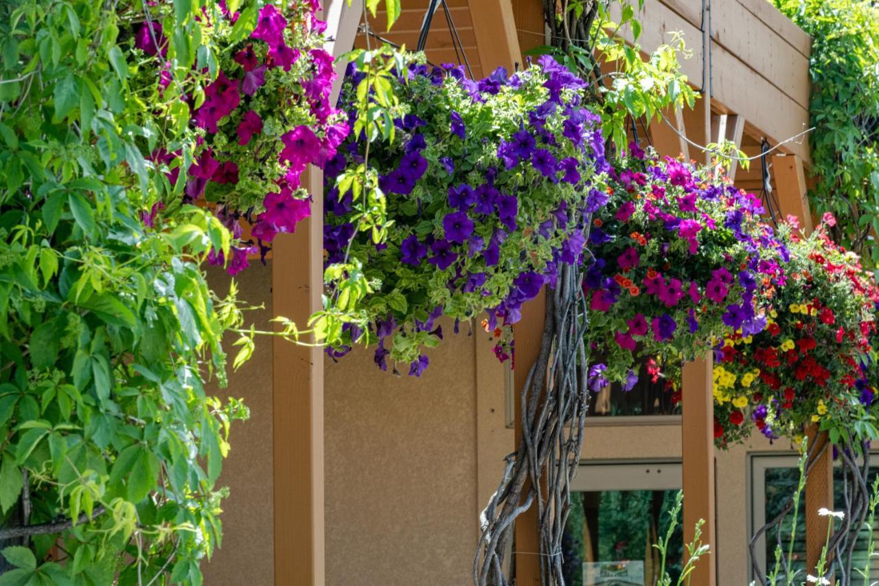 Flying Saddle Resort And Steak House ألباين المظهر الخارجي الصورة